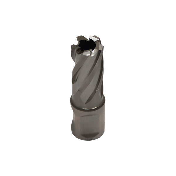 BROACH CUTTER HSS M2 SHORT 17MM - 17MM X 30MM